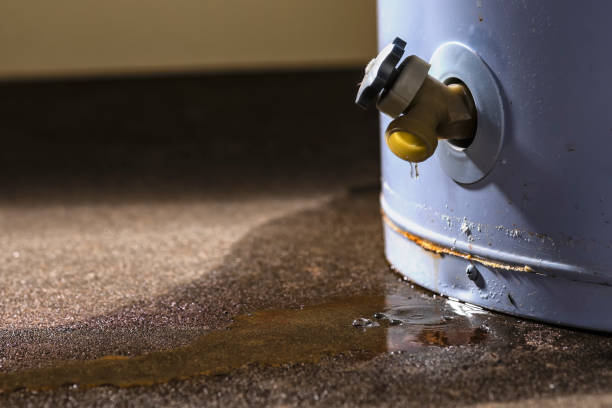 Best Professional water damage repair  in Crandon Lakes, NJ