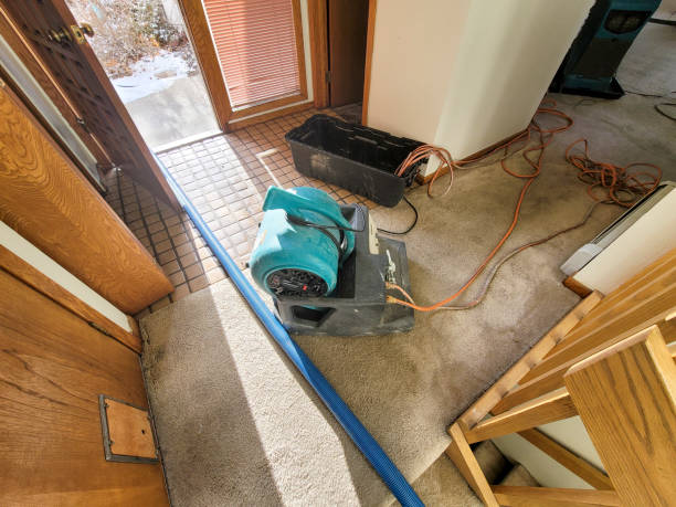 Best Flood damage cleanup  in Crandon Lakes, NJ