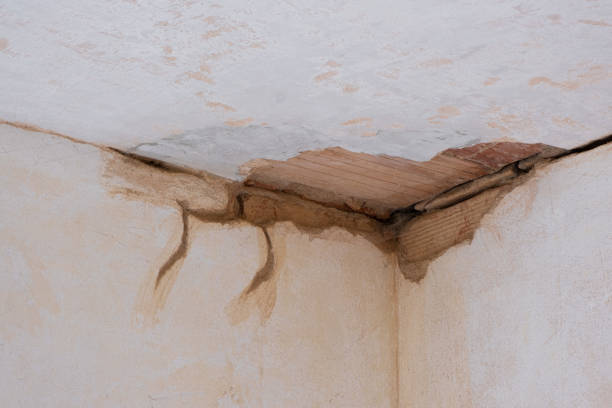 Best Commercial water damage restoration  in Crandon Lakes, NJ