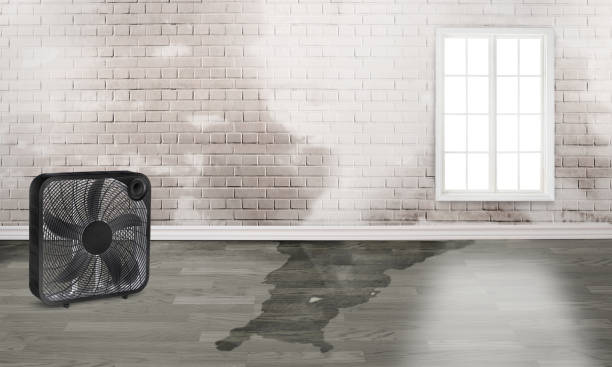 Best Water damage restoration near me  in Crandon Lakes, NJ