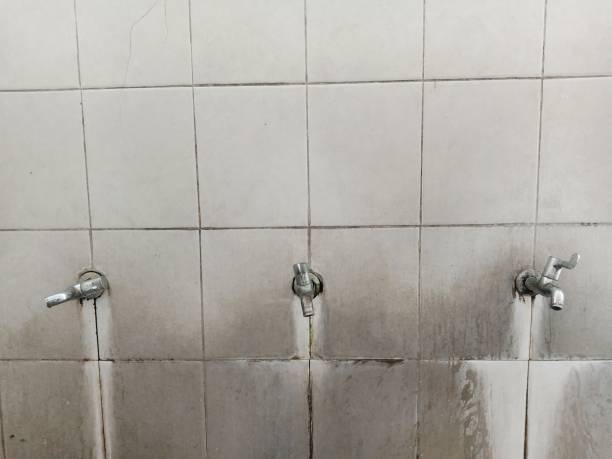 Best Water damage cleanup near me  in Crandon Lakes, NJ